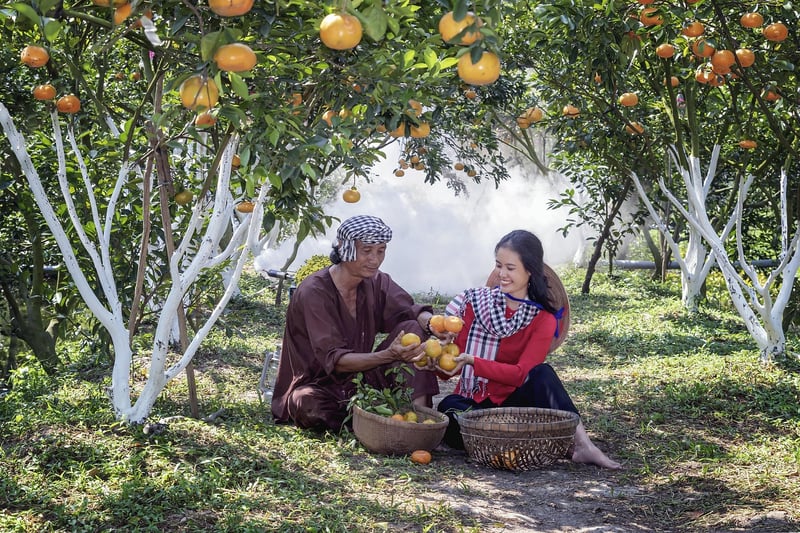 Wizardly Orchards